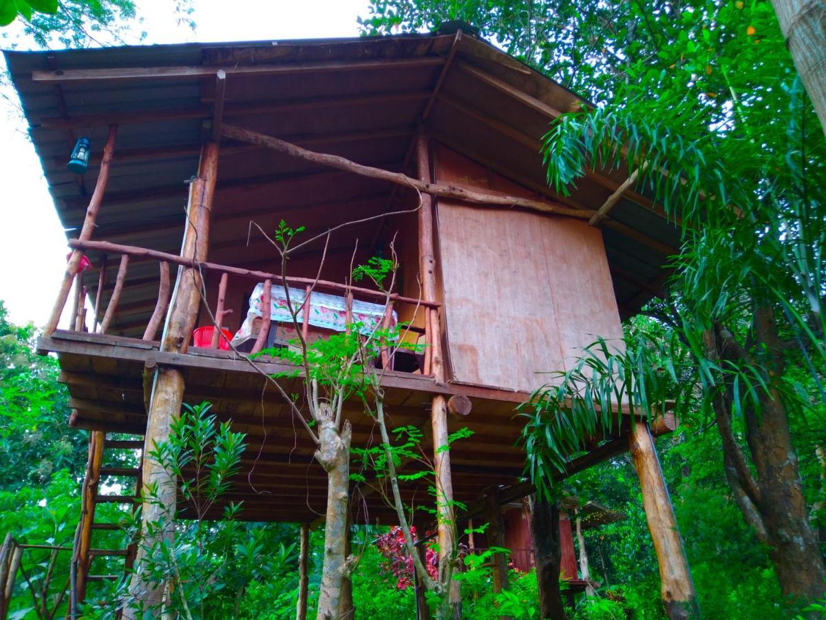 Ferienwohnung Akash Treehouse Sigiriya Exterior foto